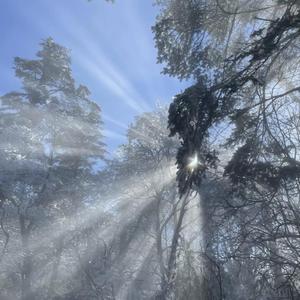 日本一道高清一区二区三区
