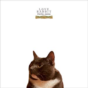 日本一道高清一区二区三区
